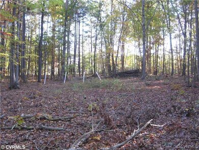 0 Gary Rd unit 1305640, Lunenburg, VA 23944 - photo 4