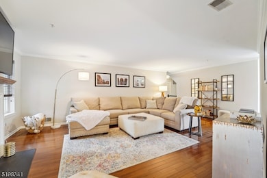 162 Riveredge Dr, Chatham, NJ 07928 - photo 4