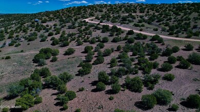 0 Co Rd 5062 Lot 1 3 53 Acres, Concho, AZ 85924 - photo 6