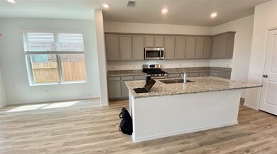 26610 Daylily Grove St, Katy, TX 77493 - photo 4