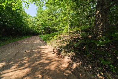 0 Herkelrath Rd unit 21100482, Onekama, MI 49675 - photo 4