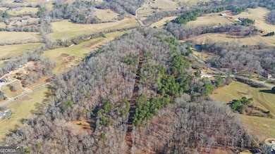 4431 Jim Hood Rd, Gainesville, GA 30506 - photo 7