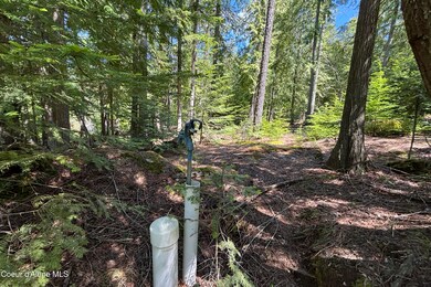 171 Whispering Pines Rd, Sagle, ID 83860 - photo 7