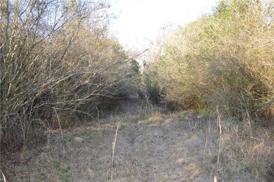 0 Bateman Rd, Franklinton, LA 70438 - photo 4