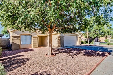 Mature Front Yard Tree