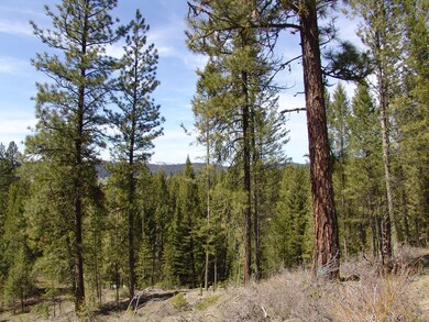 Westerly Sloped Terrain