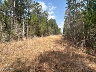 00 Jordan Hill Rd, Carson, MS 39427 - photo 7