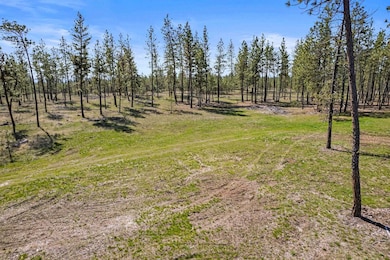 5742 Corkscrew Canyon Rd unit Lot 3, Tumtum, WA 99034 - photo 2