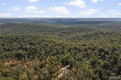 0 Bcr 300 unit MIS25064974, Marble Hill, MO 63764 - photo 5