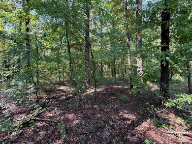 TBD County Road 4194, Henderson, TX 75654 - photo 6