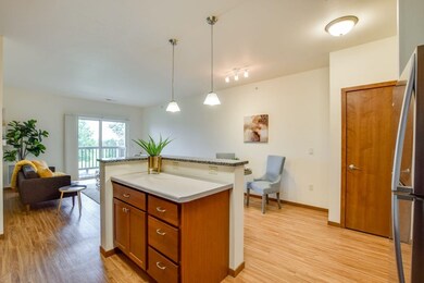 5194 Sassafras Dr unit 203, Fitchburg, WI 53711 - photo 5