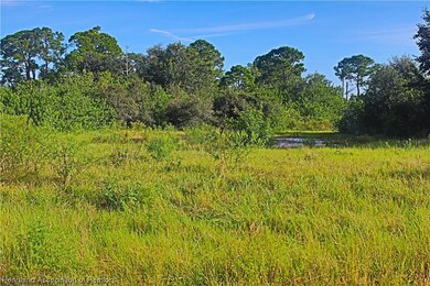 236 Summertime Ave, Lake Placid, FL 33852 - photo 2