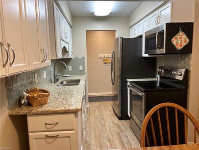 New fridge & cabinets