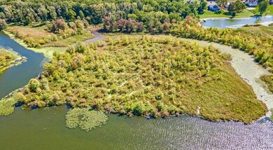 VL In Lake N, Coldwater, MI 49036 - photo 6