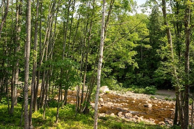 7 River and Pines Condo Rd, Bartlett, NH 03812 - photo 6
