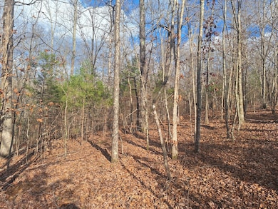 0 Circle g Dr, Lawrenceburg, TN 38464 - photo 5