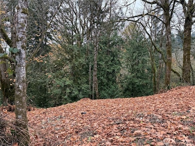 0 Maplewood Dr, Longview, WA 98632 - photo 6