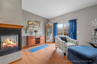 542 Declaration Ln unit 1004, Aurora, IL 60502 - photo 3