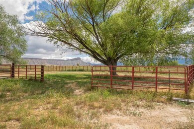 704 30 Rd, Grand Junction, CO 81504 - photo 5