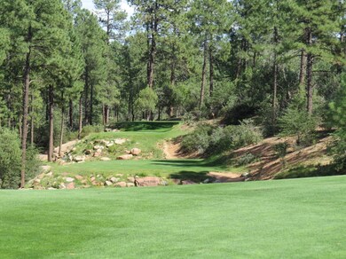Tee Boxes on Hole 11