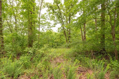 0 Red Robin Ln, Poplar Bluff, MO 63901 - photo 7