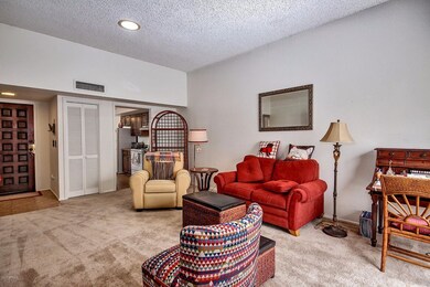 Fern Drive (6)
