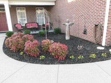 Professional Landscaping