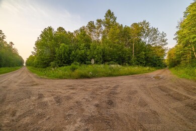 LOTS 8/9 Tower Rd, Crandon, WI 54520 - photo 5