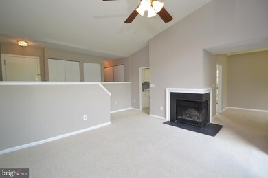 11556 Rolling Green Ct unit 300, Reston, VA 20191 - photo 3