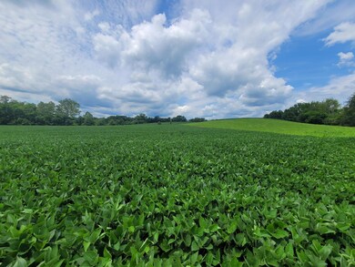 2096 Owens Rd, Felicity, OH 45120 - photo 3