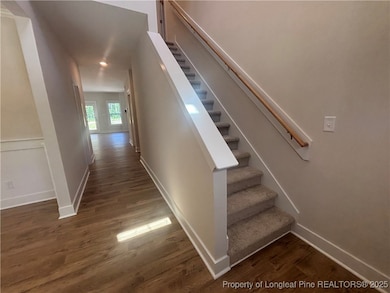 505 Chason Rd, Lumber Bridge, NC 28357 - photo 4