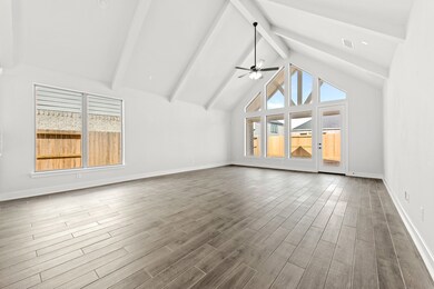 27115 Coneflower Daisy Way, Hockley, TX 77447 - photo 6