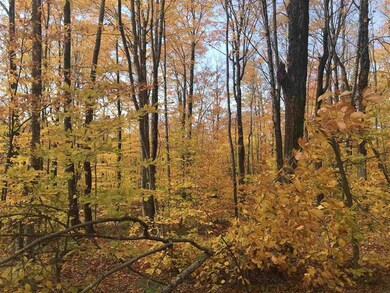 105 Slawson Rd, Weston, VT 05161 - photo 7