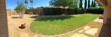 Current Backyard Picture