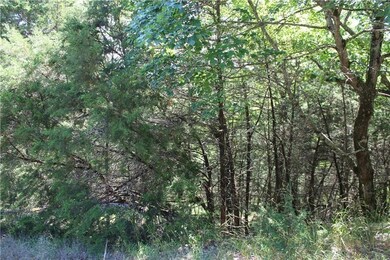 4 Beaver Cir unit 115, Holiday Island, AR 72631 - photo 6