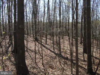 121 Laverne Ln, Hedgesville, WV 25427 - photo 4