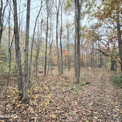 L53 Tarrytown Rd, Clarksville, NY 12041 - photo 7