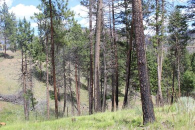 0 Corral Gulch Rd unit 220104153, Canyon City, OR 97820 - photo 2