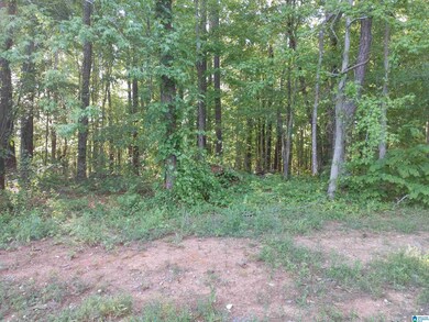 00 Cove Rd, Fayetteville, AL 35151 - photo 2