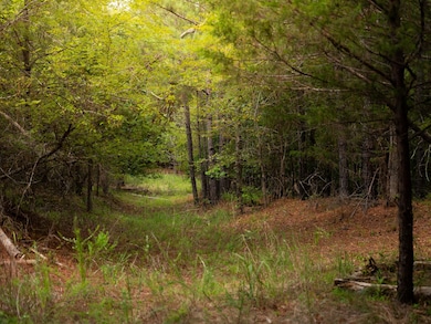 0 Neal Shoals Rd, Union, SC 29379 - photo 6