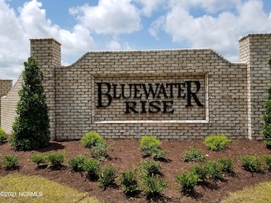 1043 Mackerel Manor, New Bern, NC 28562 - photo 3