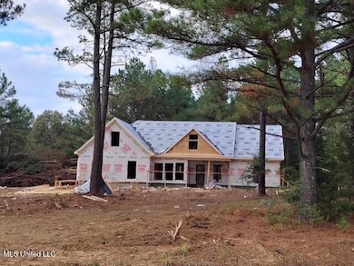 Beautiful New Construction