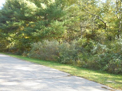 Wooded buildable lots