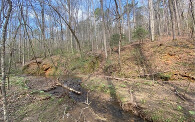 Additional View