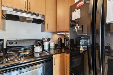 182 W Brookline St unit 4, Boston, MA 02118 - photo 7