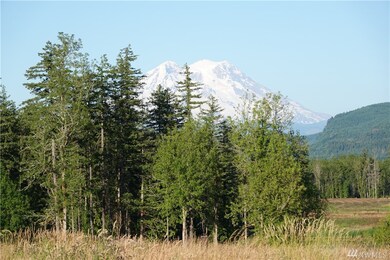 17910 Fennel Rd SE, Yelm, WA 98597 - photo 5