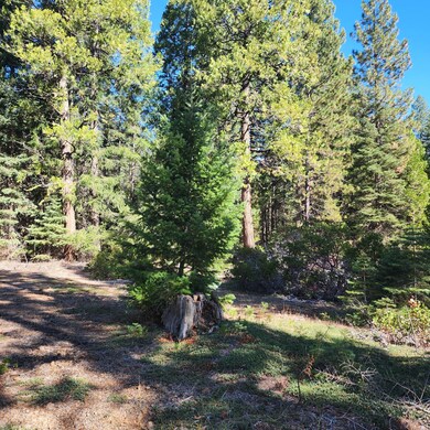 0 Ca-44 unit 25-4746, Shingletown, CA 96088 - photo 4