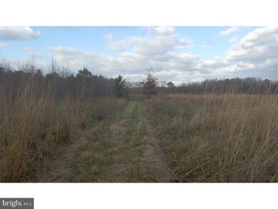 39 Ac Vernon Rd, Harrington, DE 19952 - photo 4