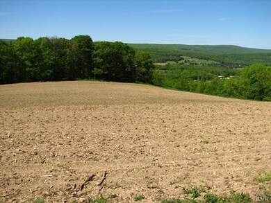 201 Ridge Cup Road W Penn Twp, Schuylkill, PA 17960 - photo 3