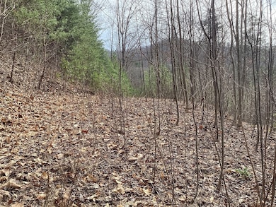 374 Taylor Way, Hiawassee, GA 30546 - photo 3